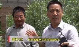 吃瓜老王影视剧全集免费观看,揭秘影视圈幕后风云，全集免费观看大揭秘