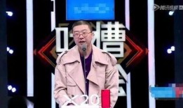 王岳伦大胆爆料视频大全,视频大全揭秘娱乐圈不为人知的一面