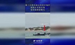 海洋最新爆料视频播放,最新爆料视频揭秘神秘海洋生物