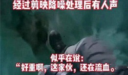 邢台渣男爆料视频曝光事件,一场道德沦丧的警示录