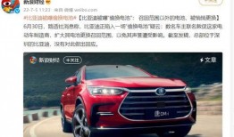 比亚迪电池爆料事件视频,揭秘电池技术争议与市场影响