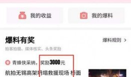 头条爆料视频哪里找,头条爆料视频生成攻略，轻松掌握热门资讯源头！