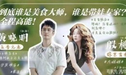 中餐厅高清在线观看,美食之旅，味蕾盛宴