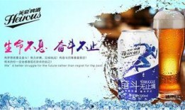 啤酒最新爆料新闻报道,揭秘啤酒行业新动态与未来趋势