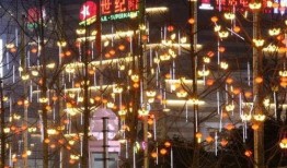 走马观花爆料视频大全最新,最新爆料视频大全精彩瞬间大盘点