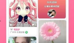 红魔最新款爆料视频下载,性能怪兽来袭，游戏体验再升级