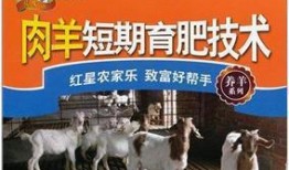 育肥羊爆料视频大全下载,揭秘养殖内幕与养殖技巧