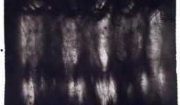 十五度灰在线观看,一场跨越界限的禁忌之恋