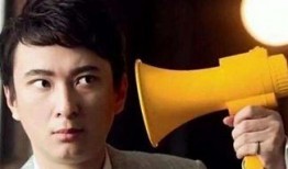 娱乐圈吃瓜配文小说推荐