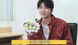 明星爆料陆思恒视频大全,明星幕后生活大公开