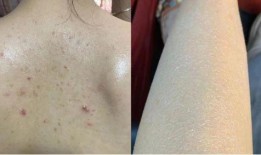 吃鸡皮肤爆料最新多少钱,最新价格揭晓，玩家热议不已！